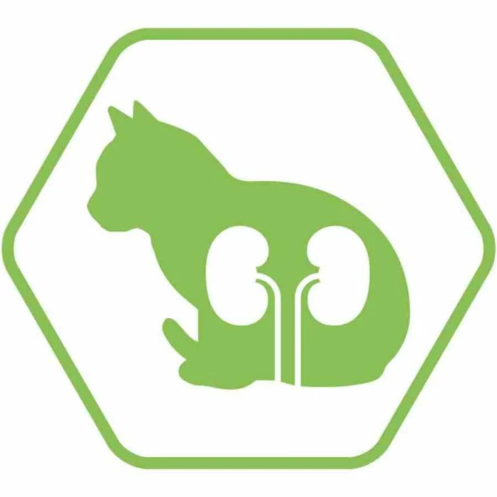 Purina Proplan Optirenal Adult Cat Sterilised Salmone 10 Kg 3 Purina Proplan Optirenal Adult Cat Sterilised Salmone 10 Kg - immagine 3