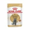 Royal Canin Breed Health Nutrition Royal Canin British Shorthair Adult 12 X 85 G