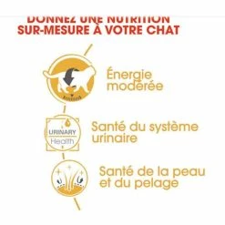 Royal Canin Breed Health Nutrition Royal Canin British Shorthair Adult 12 X 85 G -Alimentazione Gatto negozio royal canin british shorthair adult 12 x 85 g3