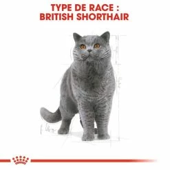 Royal Canin Breed Health Nutrition Royal Canin British Shorthair Per Gatto Adulto 2 Kg -Alimentazione Gatto negozio royal canin british shorthair adult 2 kg 2