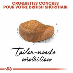 Royal Canin Breed Health Nutrition Royal Canin British Shorthair Per Gatto Adulto 2 Kg -Alimentazione Gatto negozio royal canin british shorthair adult 2 kg 3