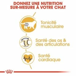 Royal Canin Breed Health Nutrition Royal Canin British Shorthair Per Gatto Adulto 4 Kg -Alimentazione Gatto negozio royal canin british shorthair adult 4 kg 4