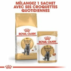 Royal Canin Breed Health Nutrition Royal Canin British Shorthair Per Gatto Adulto 4 Kg -Alimentazione Gatto negozio royal canin british shorthair adult 4 kg 5