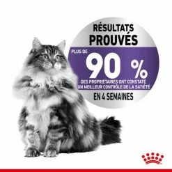Royal Canin Feline Health Nutrition Royal Canin Feline Care Nutrition Appetite Control 2 Kg -Alimentazione Gatto negozio royal canin fe line care nutrition sterilised appetite control2 1