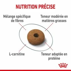 Royal Canin Feline Health Nutrition Royal Canin Feline Care Nutrition Appetite Control 2 Kg -Alimentazione Gatto negozio royal canin fe line care nutrition sterilised appetite control3 1