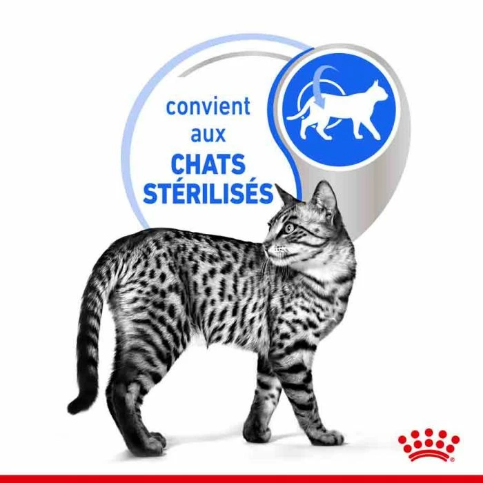Royal Canin Feline Health Nutrition Indoor Sterilised Mousse 12 X 85 G 2 Royal Canin Feline Health Nutrition Indoor Sterilised Mousse 12 X 85 G - immagine 2