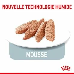 Royal Canin Feline Health Nutrition Indoor Sterilised Mousse 12 X 85 G 6 Royal Canin Feline Health Nutrition Indoor Sterilised Mousse 12 X 85 G -Alimentazione Gatto negozio royal canin fe line health nutrition indoor sterilised mousse 12 x 85 g3