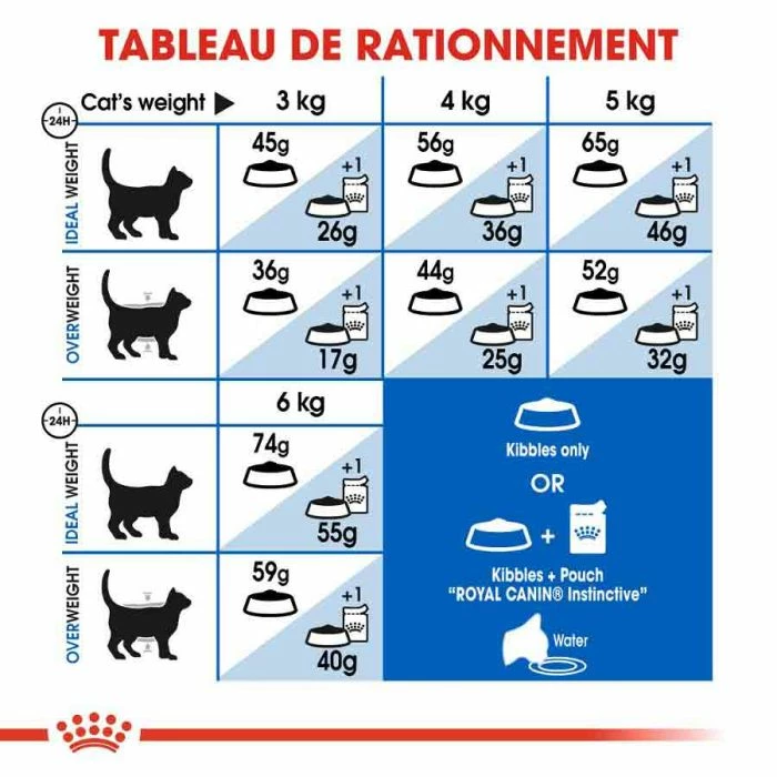 Royal Canin Feline Health Nutrition Indoor 27 - 10 Kg 7 Royal Canin Feline Health Nutrition Indoor 27 - 10 Kg - immagine 7