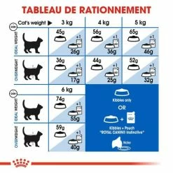 Royal Canin Feline Health Nutrition Indoor 27 - 4 Kg -Alimentazione Gatto negozio royal canin feline health nutrition indoor 27 4 kg 6