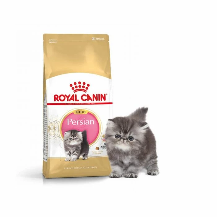 Royal Canin Breed Health Nutrition Royal Canin Persian Kitten 4 Kg 2 Royal Canin Breed Health Nutrition Royal Canin Persian Kitten 4 Kg - immagine 2