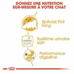Royal Canin Breed Health Nutrition Royal Canin Persian Adult 12 X 85 G -Alimentazione Gatto negozio royal canin persian adult 12 x 85 g3