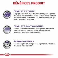 Royal Canin Vet Care Royal Canin Vet Cat Mature Consult 12 X 85 G -Alimentazione Gatto negozio royal canin vet chat mature consult 12 x 85 g 3