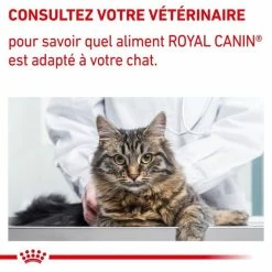 Royal Canin Vet Care Royal Canin Vet Chat Neutered Balance 12 X 85 G -Alimentazione Gatto negozio royal canin vet chat neutered balance 12 x 85 g 8