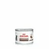 Royal Canin Veterinary Diet Royal Canin Vet Cat Gastrointestinal Kitten Mousse 12 X 195 G