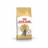 Royal Canin Breed Health Nutrition Royal Canin British Shorthair Per Gatto Adulto 4 Kg
