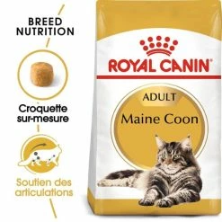 Royal Canin Breed Health Nutrition Royal Canin Maine Coon Adult 10 Kg -Alimentazione Gatto negozio royal canin maine coon adult 3 2