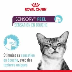 Royal Canin Sensory Multipack Bocconcini/straccetti In Salsa Per Gatto 12 X 85 G -Alimentazione Gatto negozio royal canin multipack sauce sensation feel pour chat