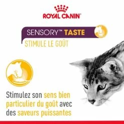 Royal Canin Sensory Multipack Bocconcini/straccetti In Salsa Per Gatto 12 X 85 G -Alimentazione Gatto negozio royal canin multipack sauce sensation taste pour chat