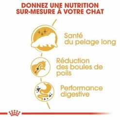 Royal Canin Breed Health Nutrition Royal Canin Persian Adult 2 Kg -Alimentazione Gatto negozio royal canin persian adult 2