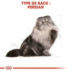 Royal Canin Breed Health Nutrition Royal Canin Persian Adult 2 Kg -Alimentazione Gatto negozio royal canin persian adult 4