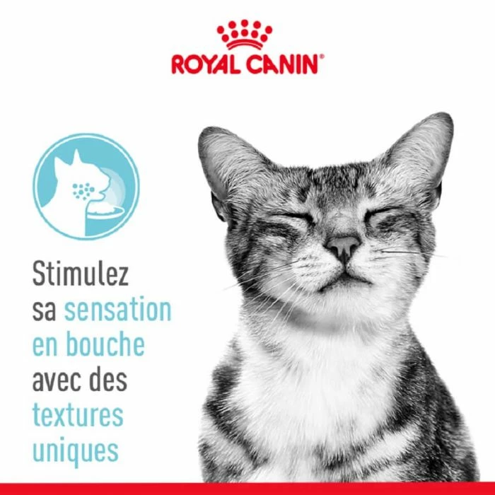 Royal Canin Sensory Feel Straccetti In Gelatina Per Gatto 12 X 85 G 4 Royal Canin Sensory Feel Straccetti In Gelatina Per Gatto 12 X 85 G - immagine 4
