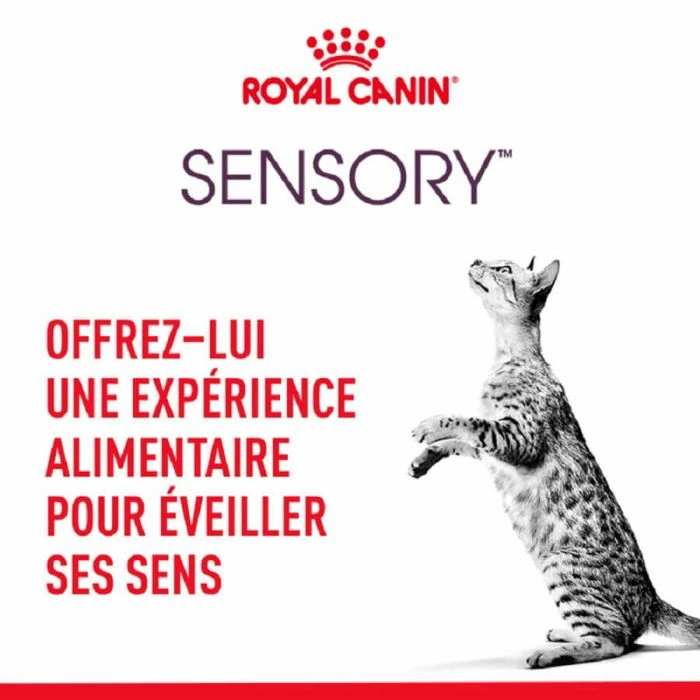 Royal Canin Sensory Taste Bocconcini In Salsa Per Gatto 12 X 85 G 4 Royal Canin Sensory Taste Bocconcini In Salsa Per Gatto 12 X 85 G - immagine 4