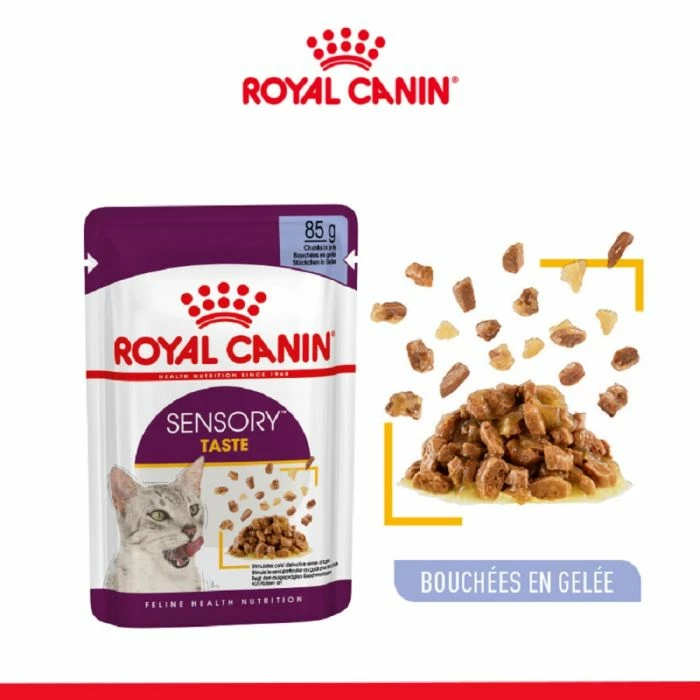 Royal Canin Sensory Taste Bocconcini In Gelatina Per Gatto 12 X 85 G - immagine 2