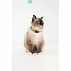 Tickless Mini Cat Nero Ricaricabile -Alimentazione Gatto negozio tickless mini cat noir3